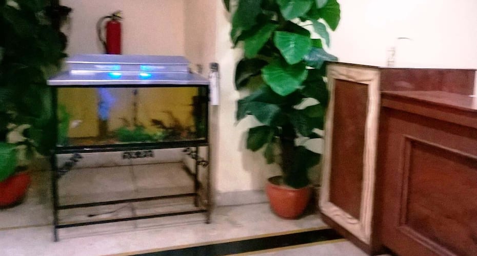 Grand Samdareeya, Jabalpur 4